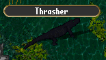 Thrasher.gif