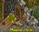 Book of magical herbs.jpg