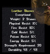 Leather sleeves.jpg