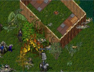 BNN Conflict in the Swamp - Picture 1.jpg