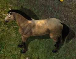 Horse1kr.png