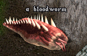 Bloodworm.png