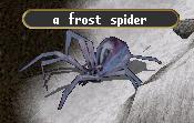 Frost spider.jpg
