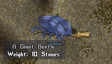 Giant Beetle.png