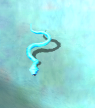 Giant ice serpentkr.png