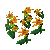 Orfluer Flowers.png