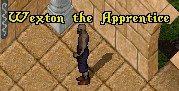 Wexton the apprentice.png