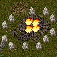 BNN Mystery Games Surround Yew - Picture 1.jpg