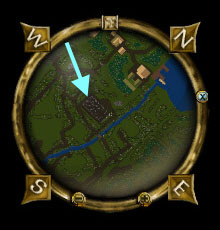 Minax ruins map.jpg
