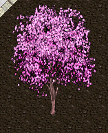 Cherry blossom tree.png