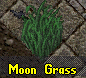 Moon grass plant.png