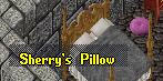 Sherrys pillow.png