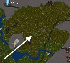 Valor-forest-map.jpg