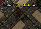 Ghost of a prisoner.png