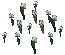 Snowdrops.png