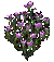 Campion Flowers.png