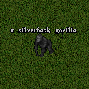 Silverback gorilla.png