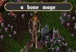 Bone mage.jpg