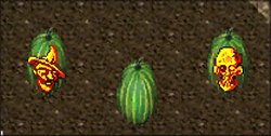 Green Gourd Carvable Pumpkin-Option 1.jpg