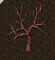 Apple trunk.png