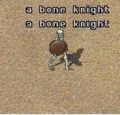 Bone Knight.JPG