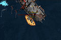 Adventures on the high seas media 3.jpg