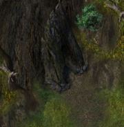 S of hoppers bogkr.jpg