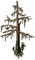 Cypress Tree (Straight).png