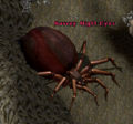 Thumbnail for version as of 14:00, 10 September 2009