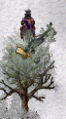 Thumbnail for version as of 14:26, 2 February 2007
