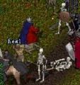 BNN Undead Invasion in Moonglow on a Sunny Afternoon! - Picture 1 (Small).jpg