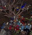 BNN Botanist Rescued, Tree Worshipping Cultists Cut Down - Picture 1 (Large).jpg