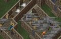 Thumbnail for version as of 13:35, 28 February 2026