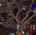 BNN Botanist Rescued, Tree Worshipping Cultists Cut Down - Picture 1 (Small).jpg