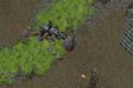 Acid river 2.jpg