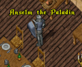Anselm the paladin.png